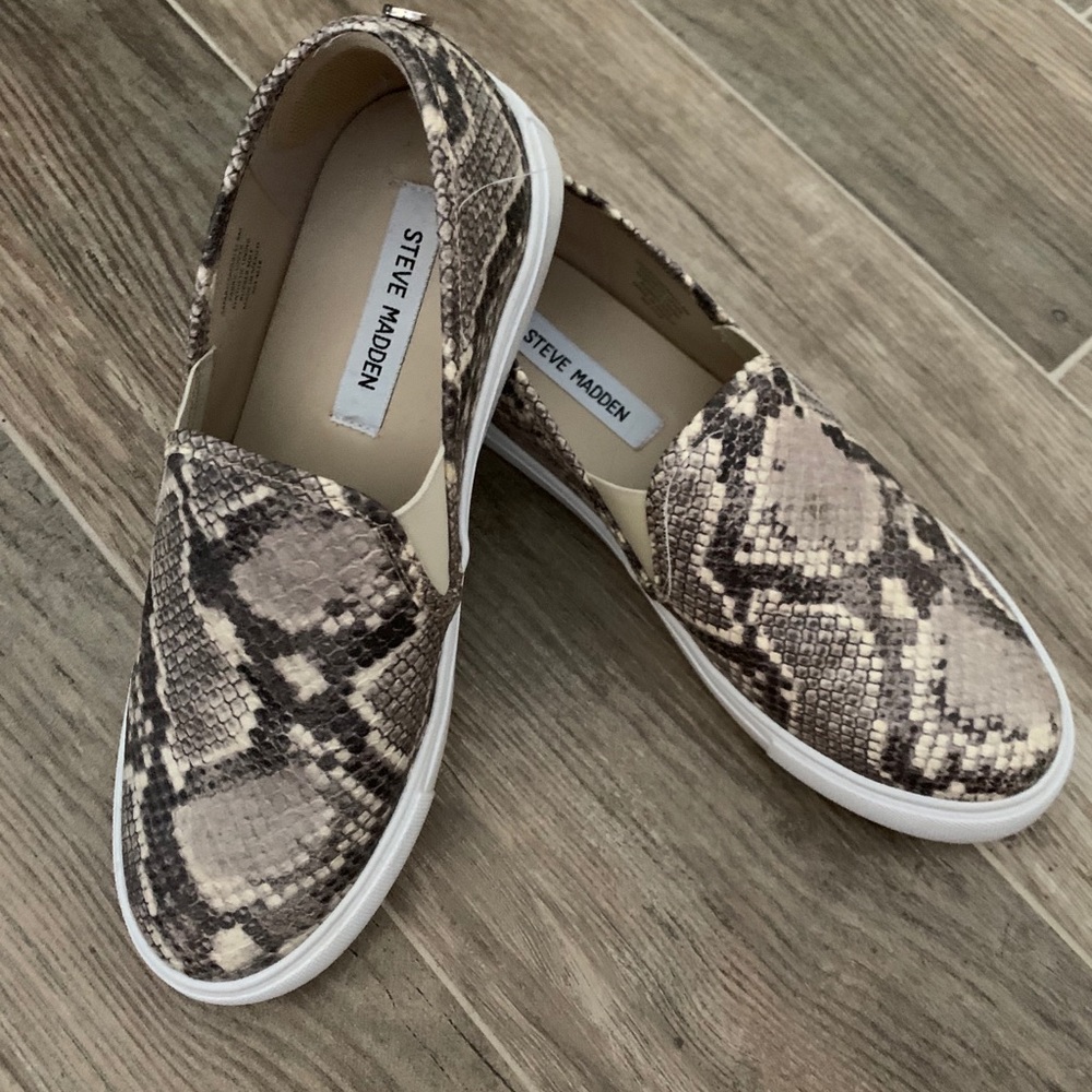 Steve Madden Canvas Slip on snake skin